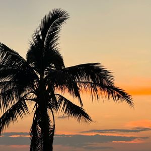 【Free】自由主义