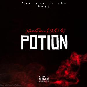 Potion (Now who is the boy¿) (feat. DND Ki')