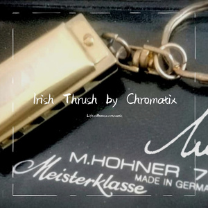 爱尔兰画眉 半音阶口琴