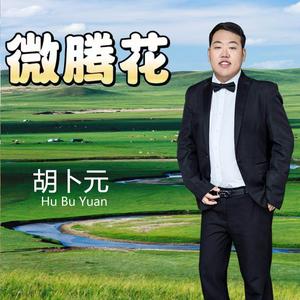 微腾花（2023版） 伴奏