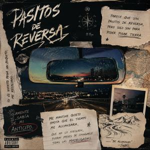 Pasitos De Reversa