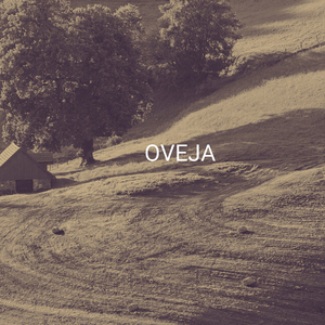 Oveja