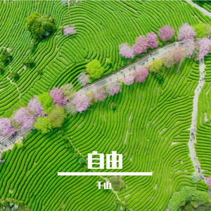 随它去吧