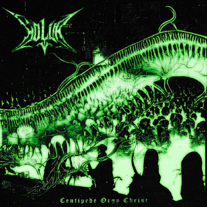 Centipede Orgy Christ