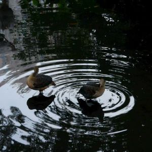 人不是突然变的