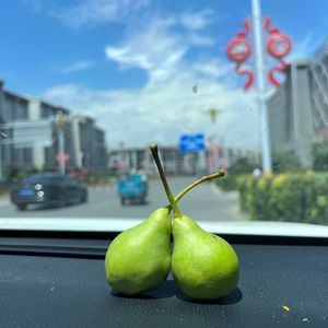 你的眼睛倒映出青海湖的水