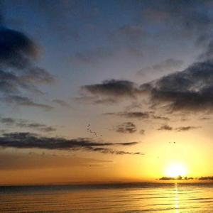 清醒的时候幸好有你在