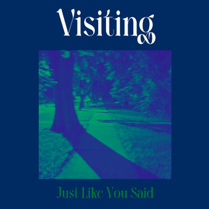Just Like You Said