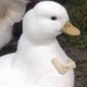 たこルカ★マグロフィーバー（翻自 巡音ルカ）