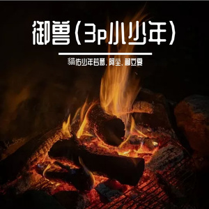 御兽（3p小少年）