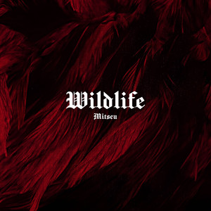 Wildlife