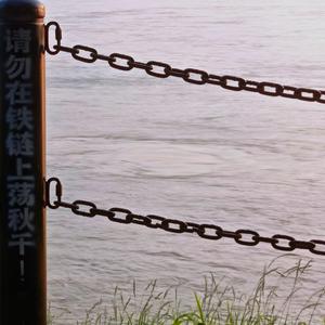 请用一支玫瑰纪念我