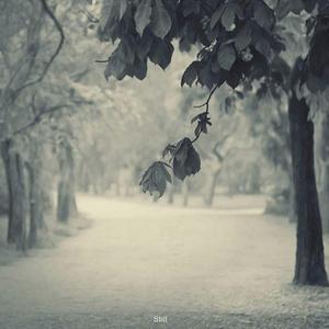 陆离光年，一首短歌