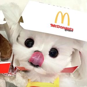 你说要相信自己