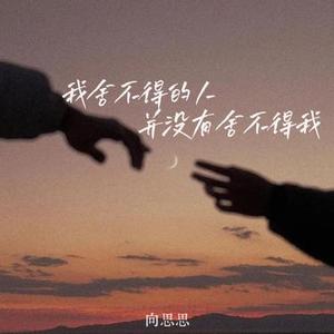 我舍不得的人并没有舍不得我 (DJ阿尼版)