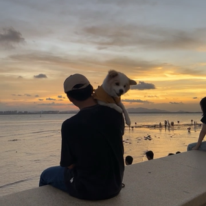 程奎-远山少年（DJX6 remix）