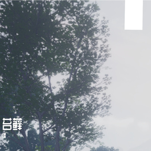 往事 是依附在心上的苔藓