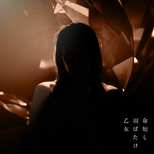 命短し羽ばたけ乙女