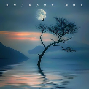 超强治愈脑波音乐 助眠减压催眠曲