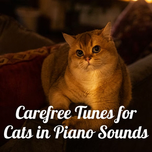 Playful Feline Fugue