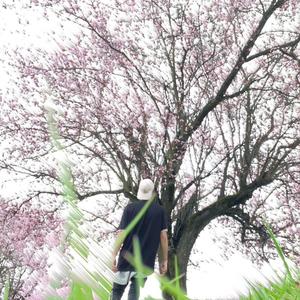 epitath (feat. hollowshawdy)