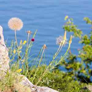 梨花愁 (静心打坐+陶笛)