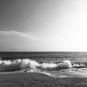 悬崖边盛开的红花