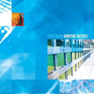 Elephants, Donkeys, and Cowboys