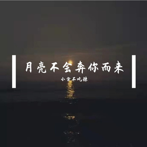 月亮不会奔你而来