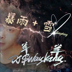 暴雨+雪（Swayking羊羊 remix）