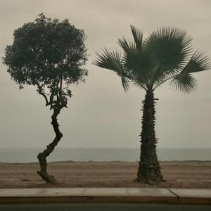 enveloped in a summer slump (instumental)
