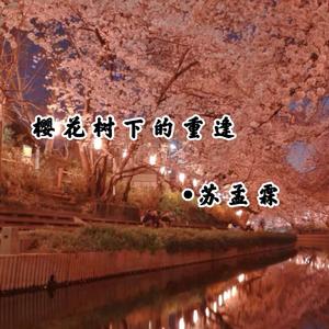 樱花树下的重逢