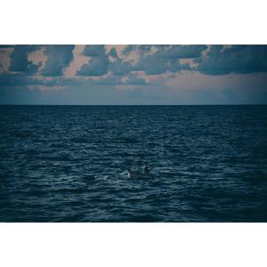 My Tears In The Rain