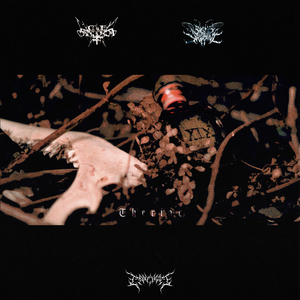 A King's Decapitation