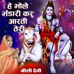 हे भोले भंडारी करू आरती तेरी
