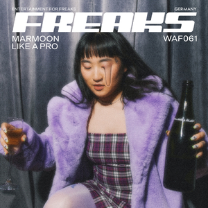 Like A Pro (Extended Mix)