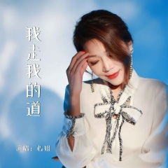 我走我的道 (DJ默涵版)