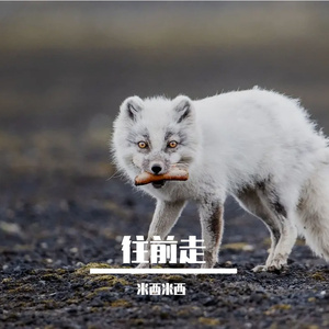 蝉眠