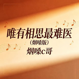 唯有相思最难医(烟嗓版)