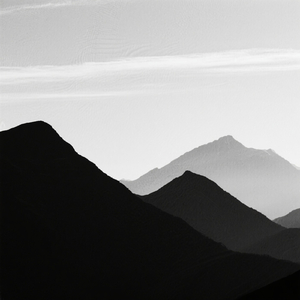 What else do you want to say