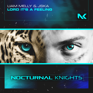 Lord It's a Feeling (Extended Mix)