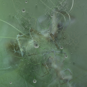 Winged (Donato Dozzy Remix)