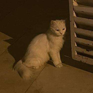 thank u (4 breaking me)