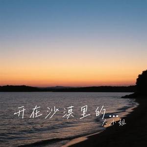 开在沙漠里的花 (Cover 洋澜一)