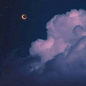 生命中最重要的人