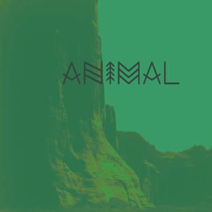 Animal (feat. Jamie Drake)