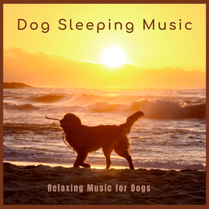 Sleeping Dogs