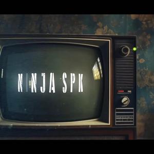 Decyzje (feat. NINJA SPK)