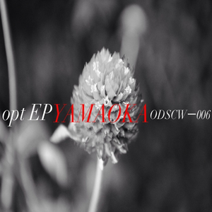 Basking (Original Mix)