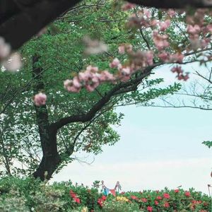 与你有关的故事